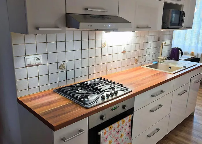 Apartment New Fast Levice